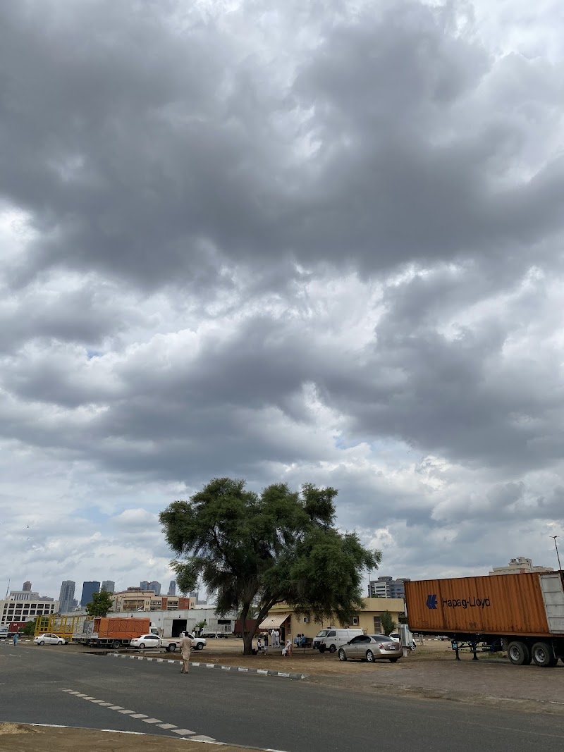 تصویر شماره 8