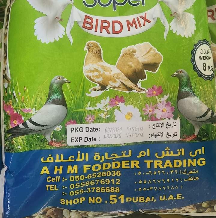 تصویر شماره 7