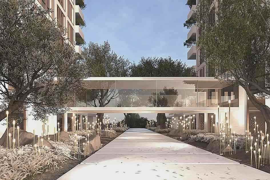 Dubai: Reviving Ancient Olive Trees in New Residential Project