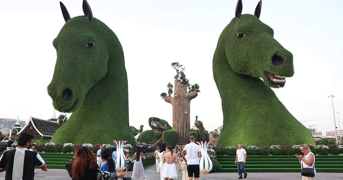 Dubai Safari Park reopens October 12 with six themed wildlife zones