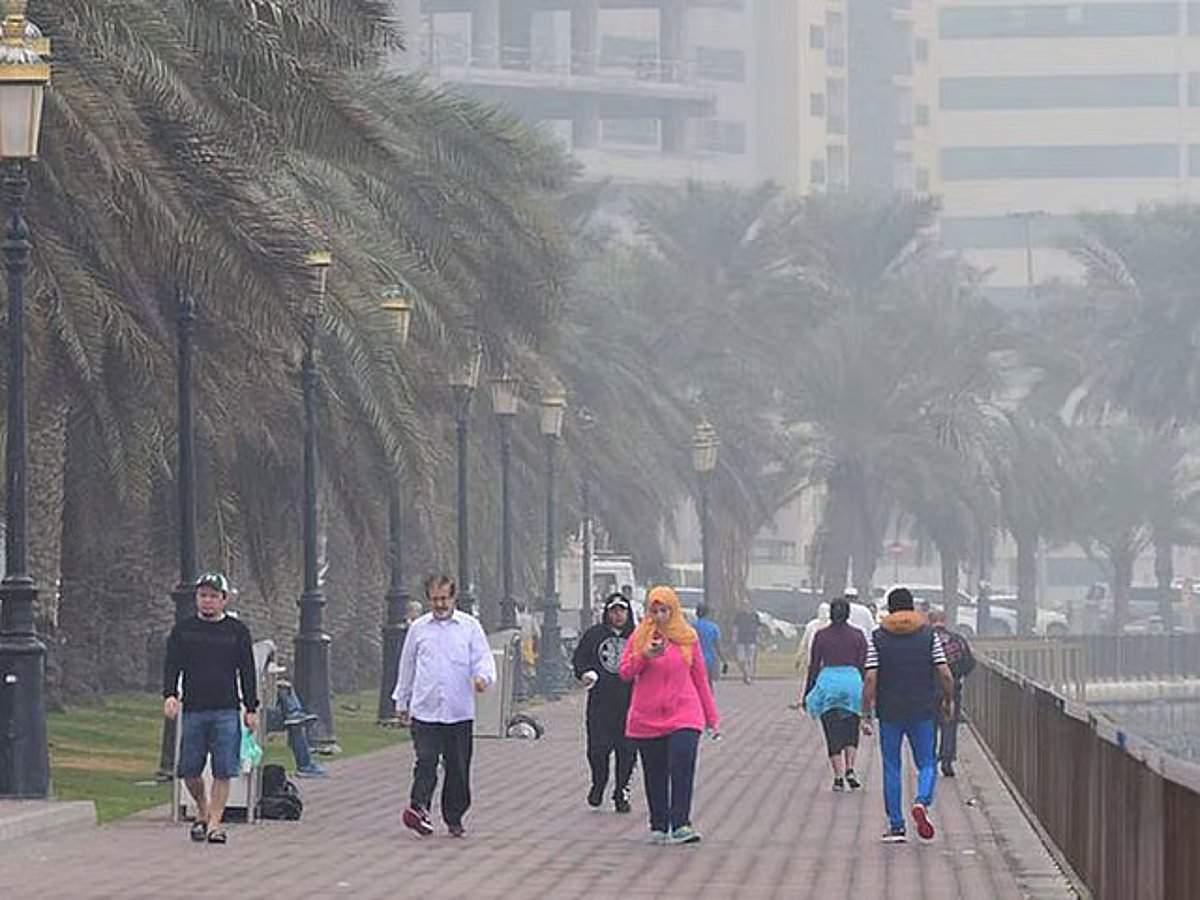 شتاء بارد وممطر في الإمارات: انخفاض درجات الحرارة