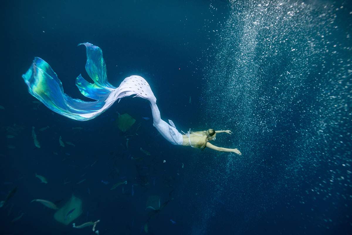 Atlantis Dubai is looking for a full-time mermaid for the Lost World aquarium
